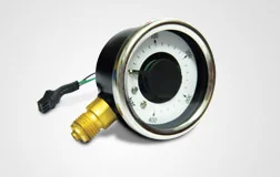 Electronic Pressure Gauge